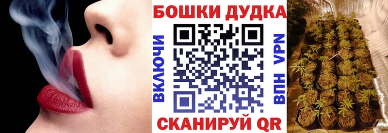 Купить наркотик аптеки Мценск Alpha-PVP  Бошки Шишки  Псилоцибиновые грибы  МЕФ  АМФ  Гашиш  Кокаин 