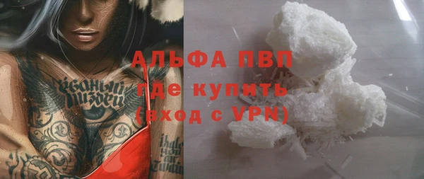 амф Гусиноозёрск