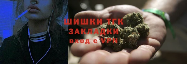 амф Гусиноозёрск
