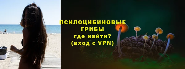 амф Гусиноозёрск