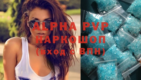 амф Гусиноозёрск