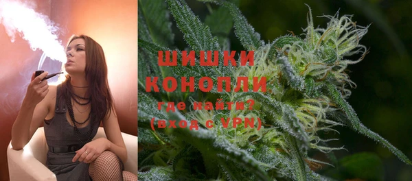 амф Гусиноозёрск